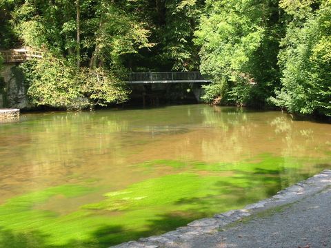 Der Aachtopf der Aachquelle mit grün schimmerndem Wasser und Fußgängerbrücke im Hintergrund